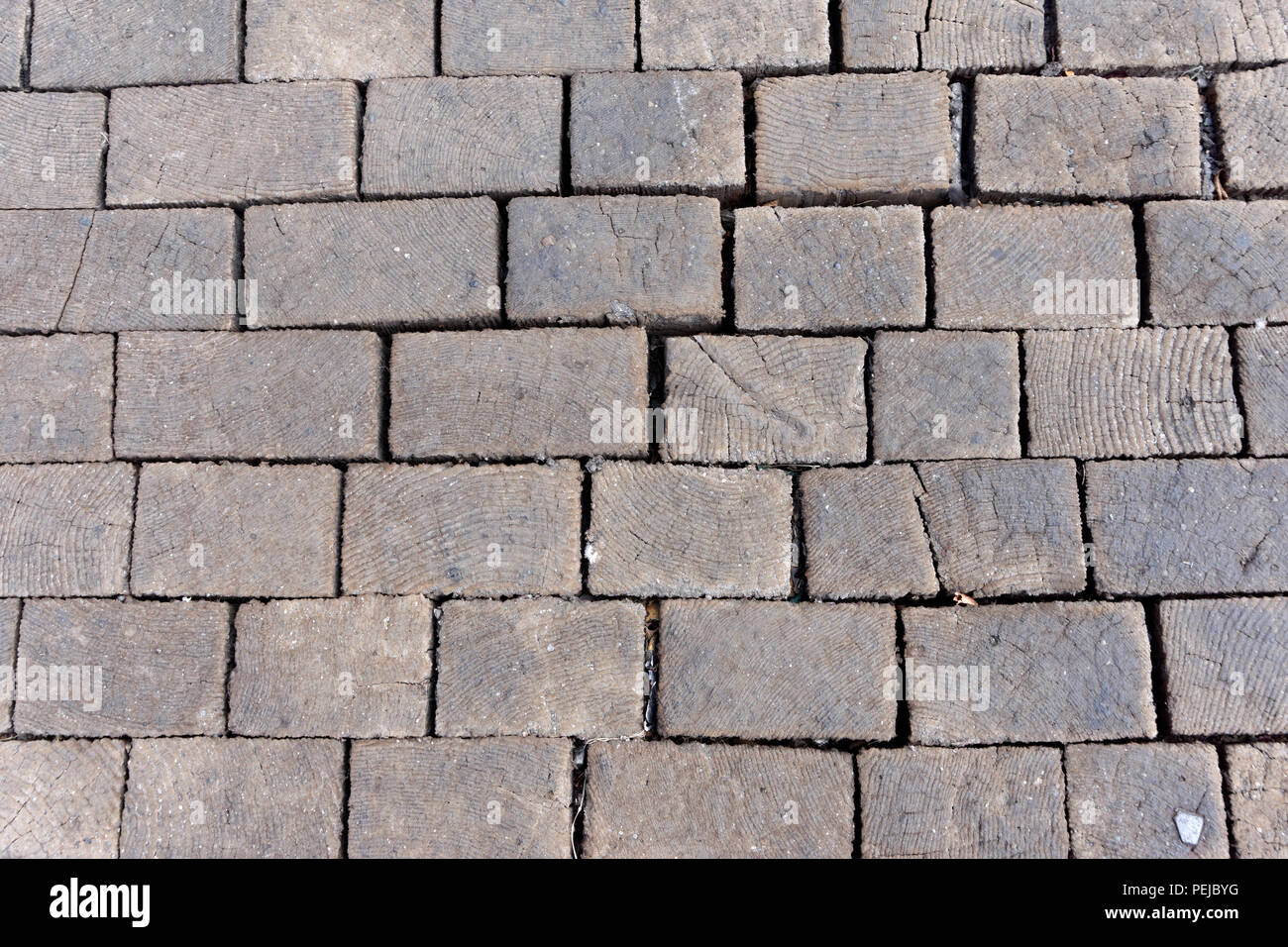 Vecchia pavimentazione in legno blocchi su una strada del centro cittadino di Eastside di Vancouver, BC, Canada Foto Stock