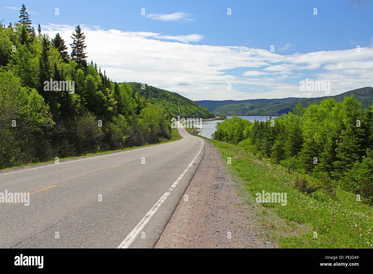 #430 lungo la Bonne Bay. È una baia sul lato occidentale di Terranova, del Canada e fa parte del Parco Nazionale Gros Morne. Foto Stock