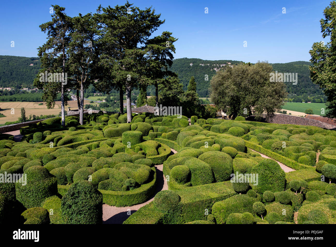 Topiaria da nei giardini del Jardins de Marqueyssac in Dordogne regione della Francia. Foto Stock