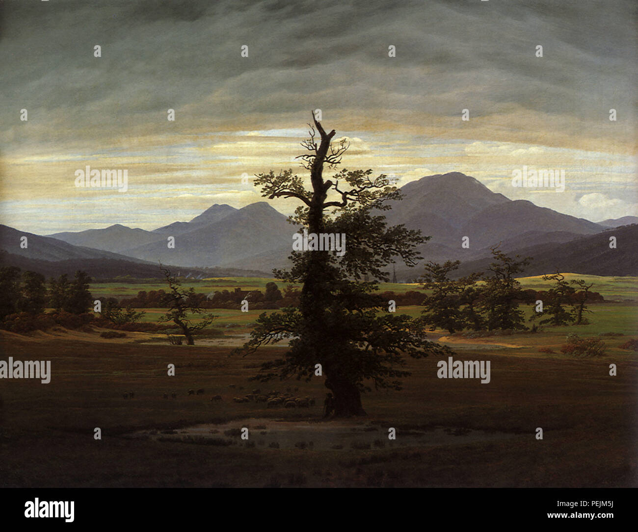 Albero solitario, Friedrich Caspar David Foto Stock