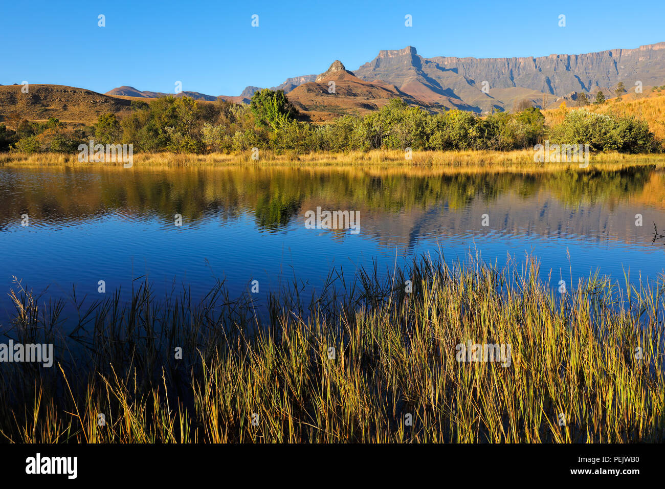 Montagne Drakensberg con la riflessione in acqua, Royal Natal National Park, Sud Africa Foto Stock