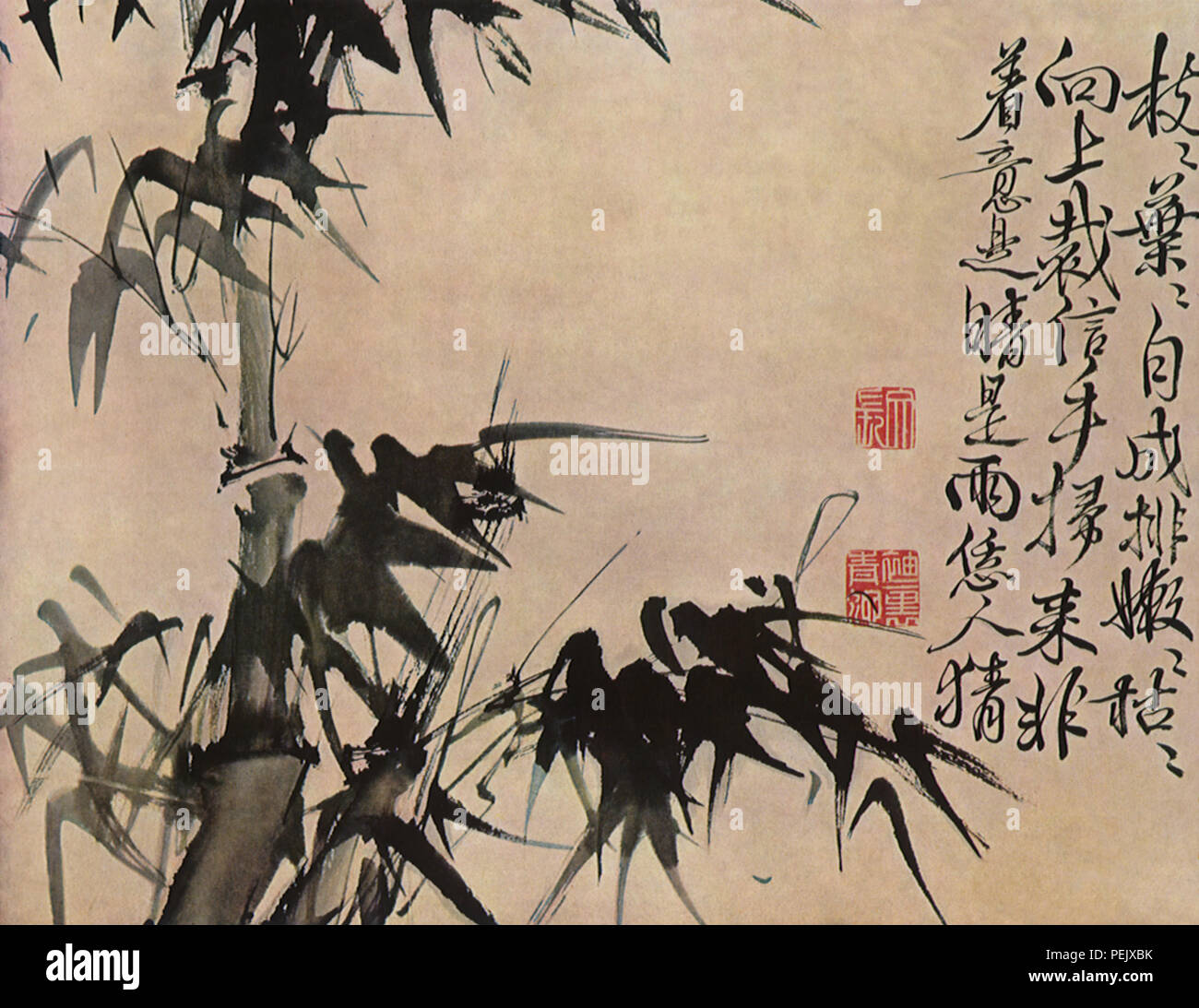 Il bambù, Wei Hsu Foto Stock