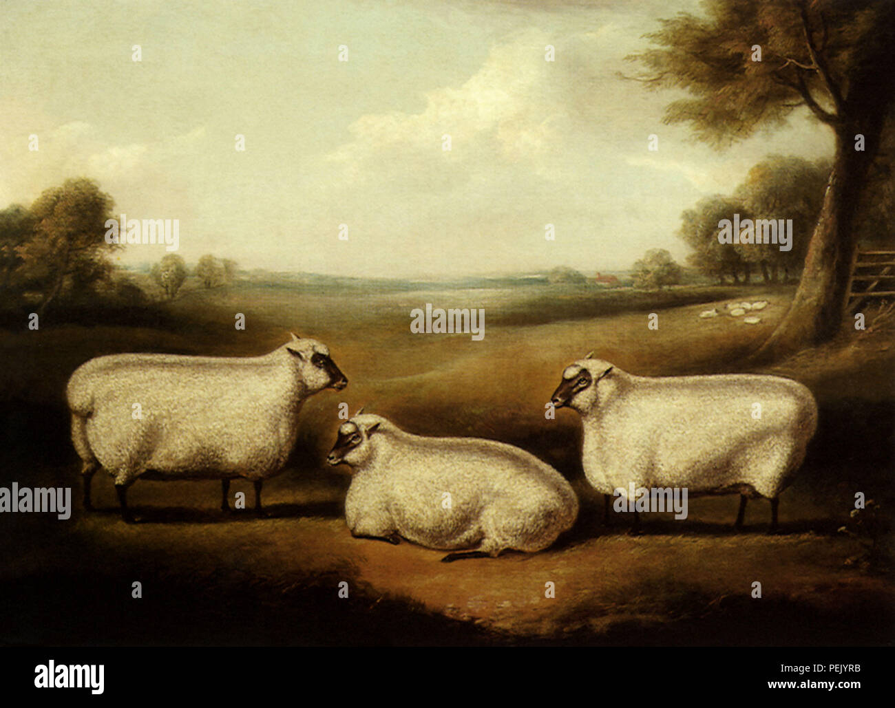 Tre pecore, Davis, William Henry Foto Stock