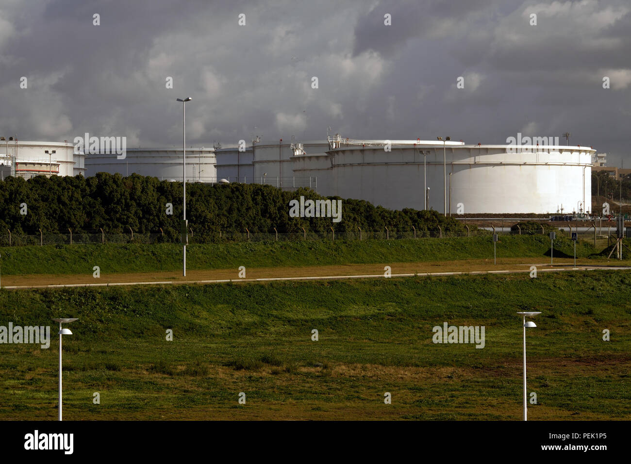 Più bianchi e grandi serbatoi di olio nei pressi di una raffineria Foto Stock