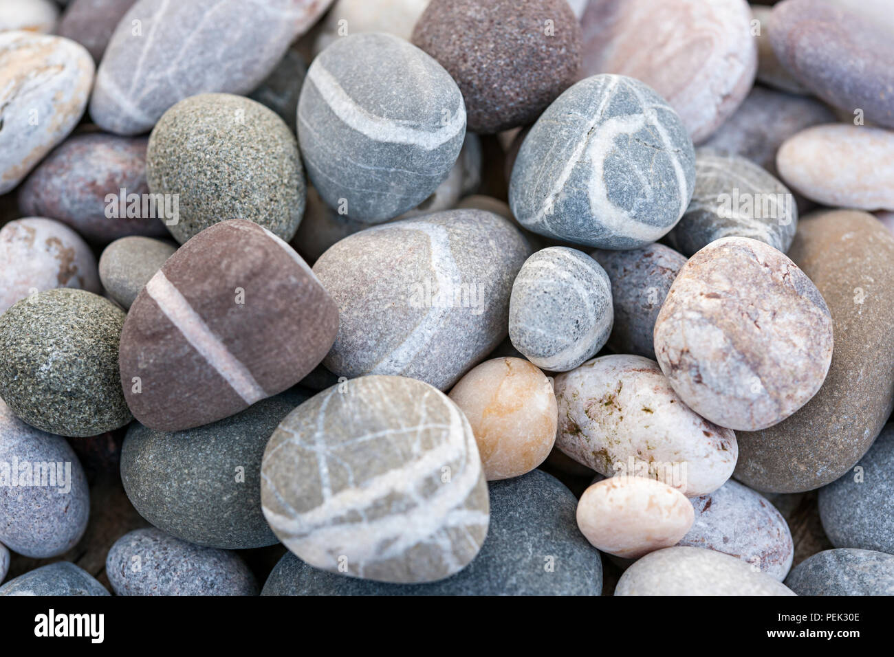 Round spiaggia ghiaia o rocce levigate con diverse forme e colori di pietre da vicino Foto Stock