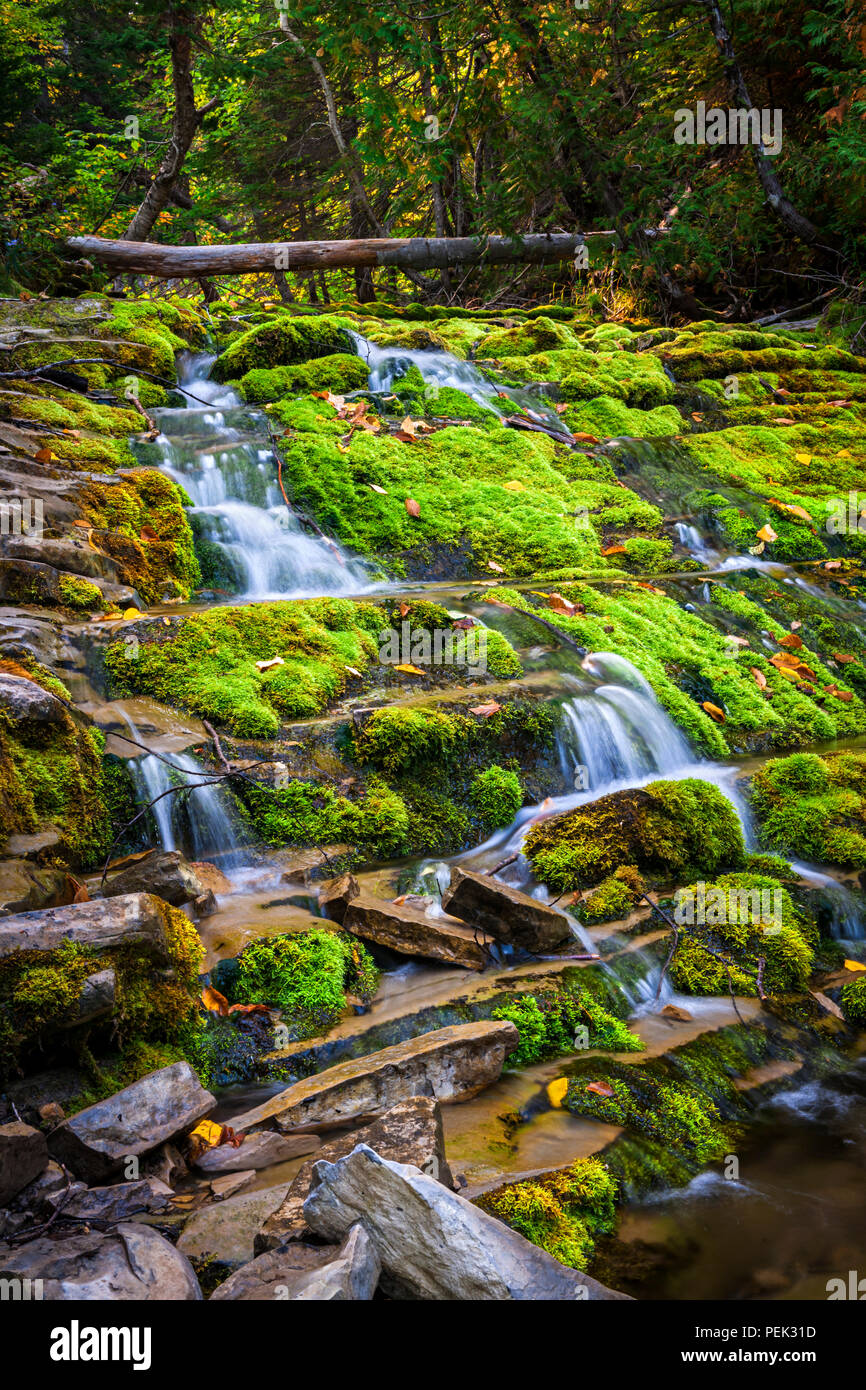Cascata su verde muschio rocce coperte in Forillon National Park, Gaspe peninsula, Quebec, Canada. Foto Stock