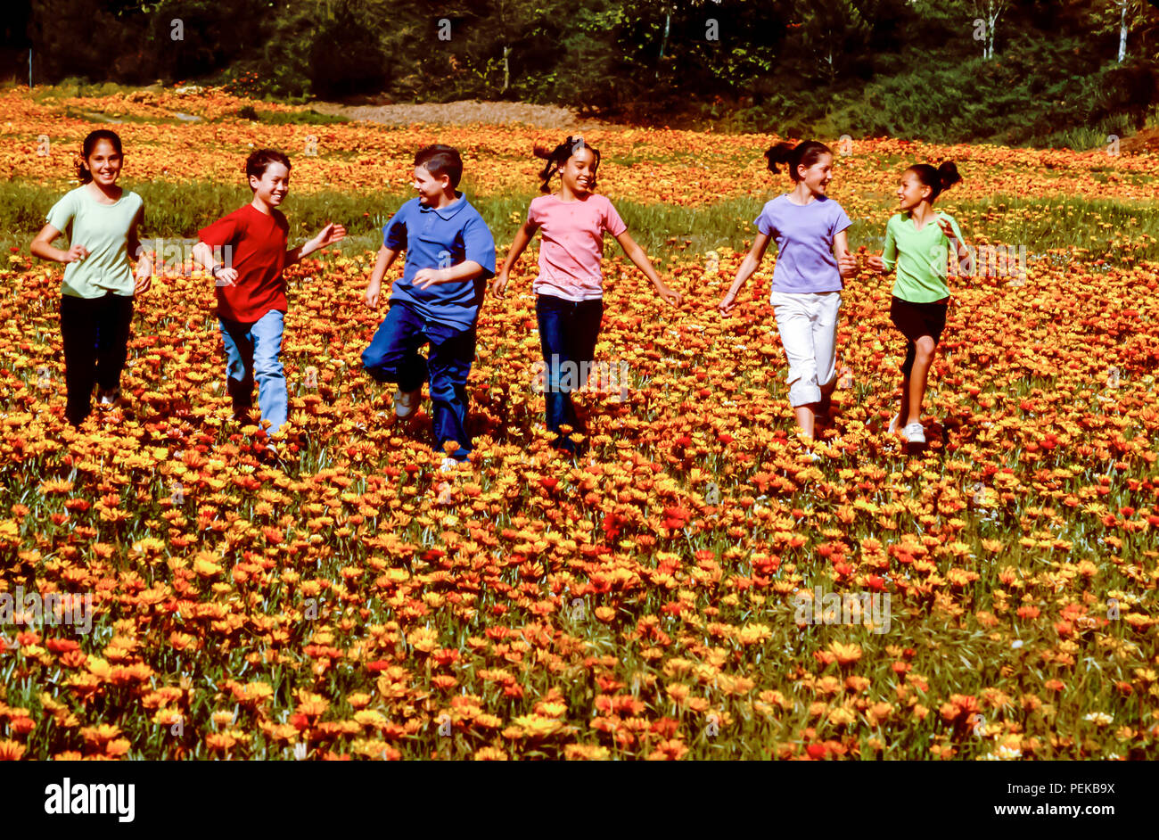 Felice multi razziale tween preteen ragazzi e ragazze felicemente in esecuzione attraverso il campo dei fiori in primavera © Myrleen Pearson ...Ferguson Cate Foto Stock