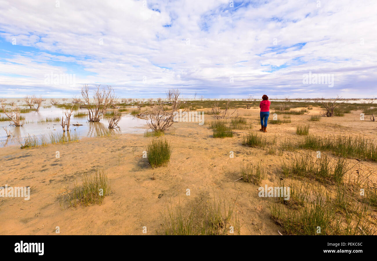 Immagine scattata durante una vacanza in famiglia all'outback territoriale città di Broken Hill nel Nuovo Galles del Sud Australia Foto Stock