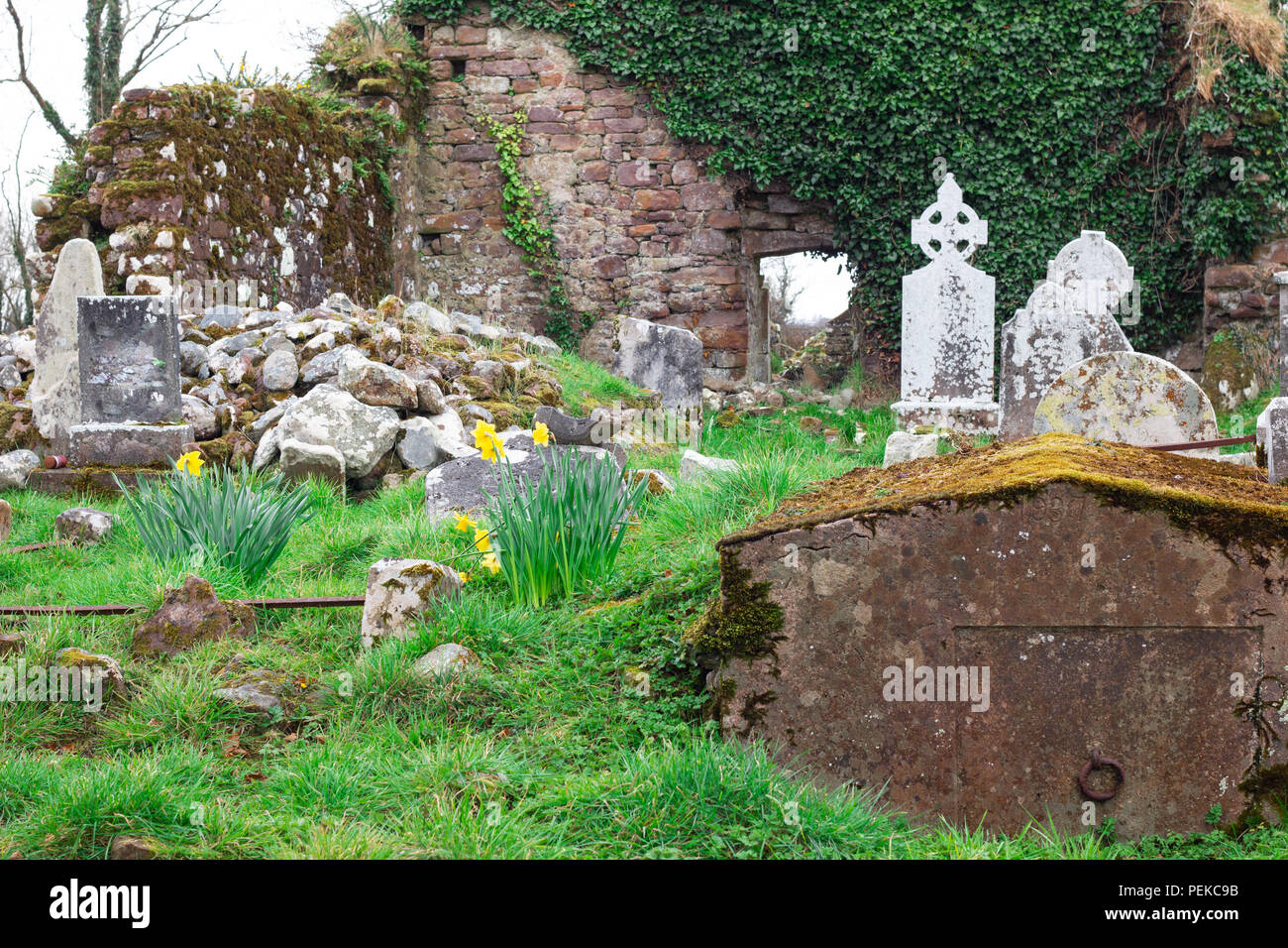 Vista del vecchio cimitero irlandese di rovine nella campagna dell'Irlanda Foto Stock