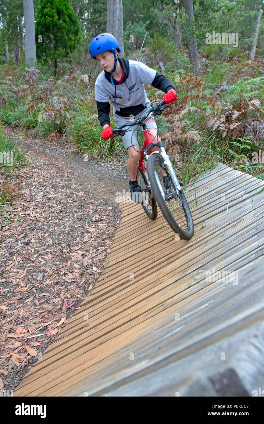 Mountain bike a Hollybank riserva forestale Foto Stock