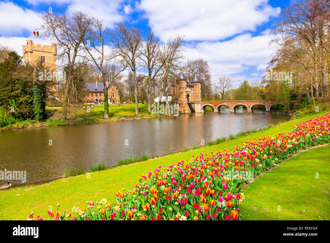 Bella Groot-Bijgaarden,vista con vecchio castello,ponte e fioritura tulipani,Belgio. Foto Stock