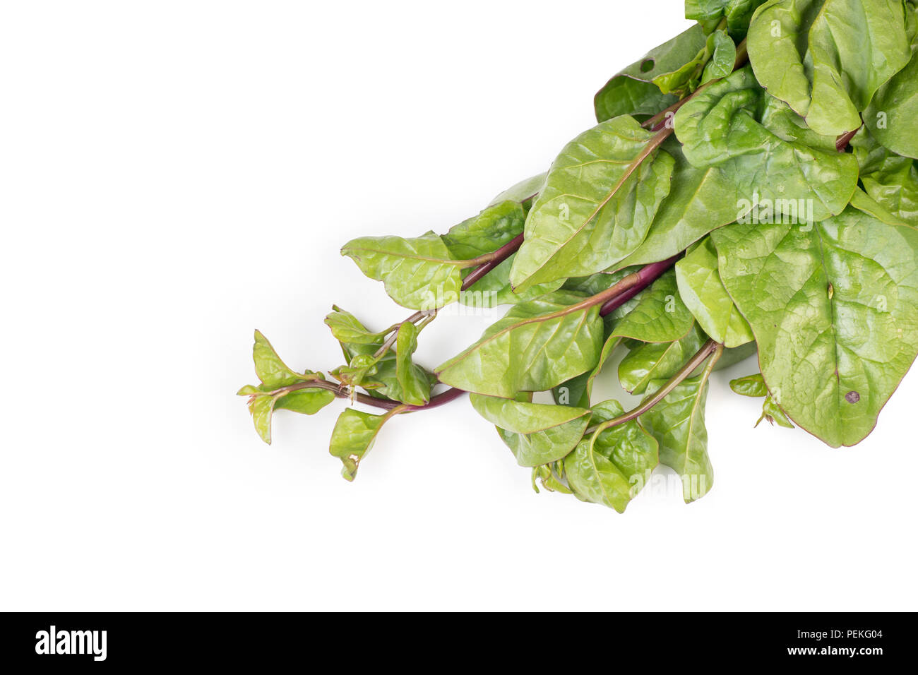 Il Malabar organico spinaci isolati su sfondo bianco Foto Stock