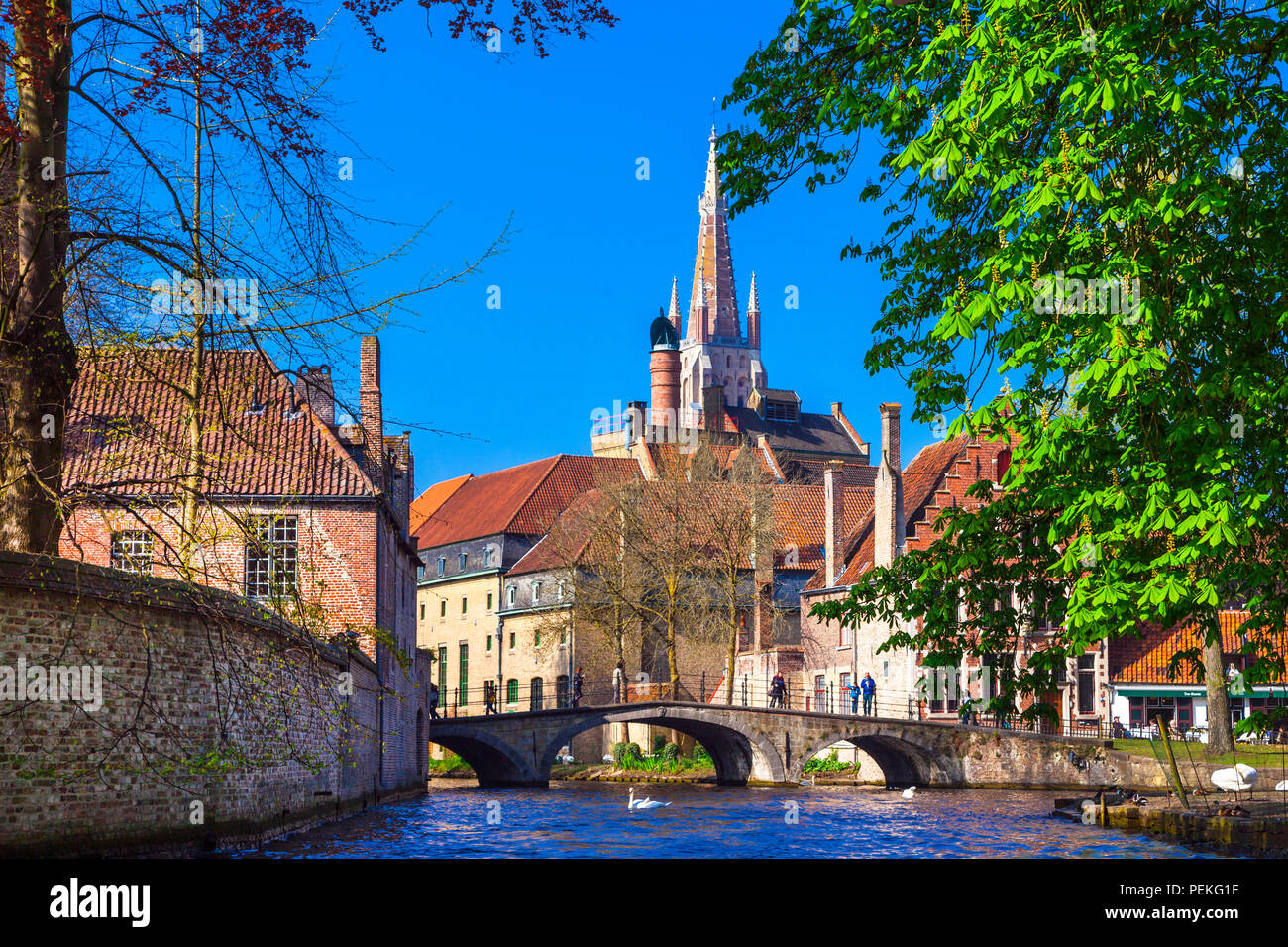 Bellissima città di Bruges,vista con canali e vecchia cattedrale,Belgio. Foto Stock