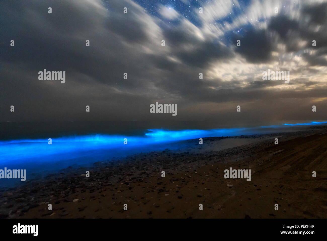 La bioluminescenza illuminazione in spiaggia Darak ,sistan&balouchestan, sud est dell'Iran. Foto Stock