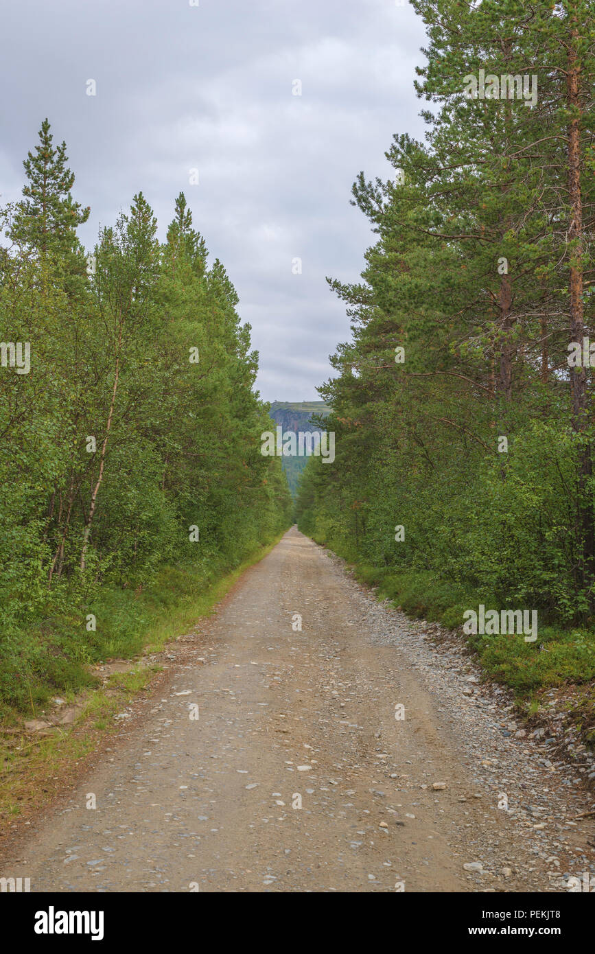 Infinite strada di ghiaia in norvegese foresta, in Alta, Finnmark, Norvegia. Foto Stock