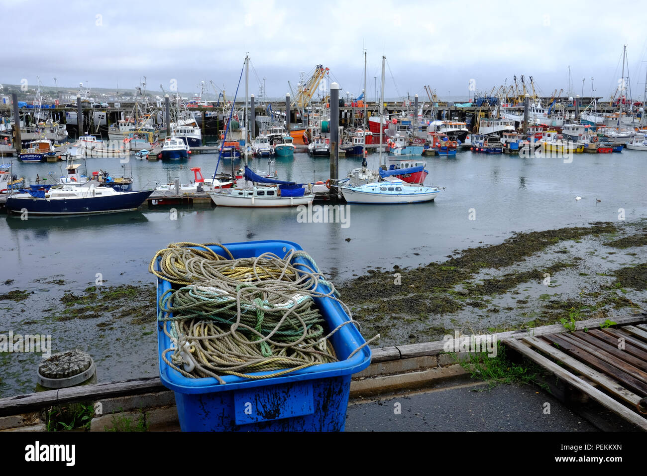 Porto di Newlyn, Cornwall Foto Stock