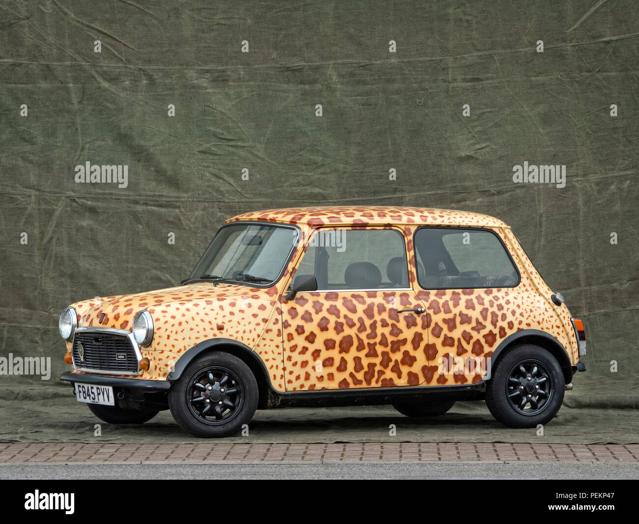 1989 Rover Mini a pelle di leopardo design Foto Stock