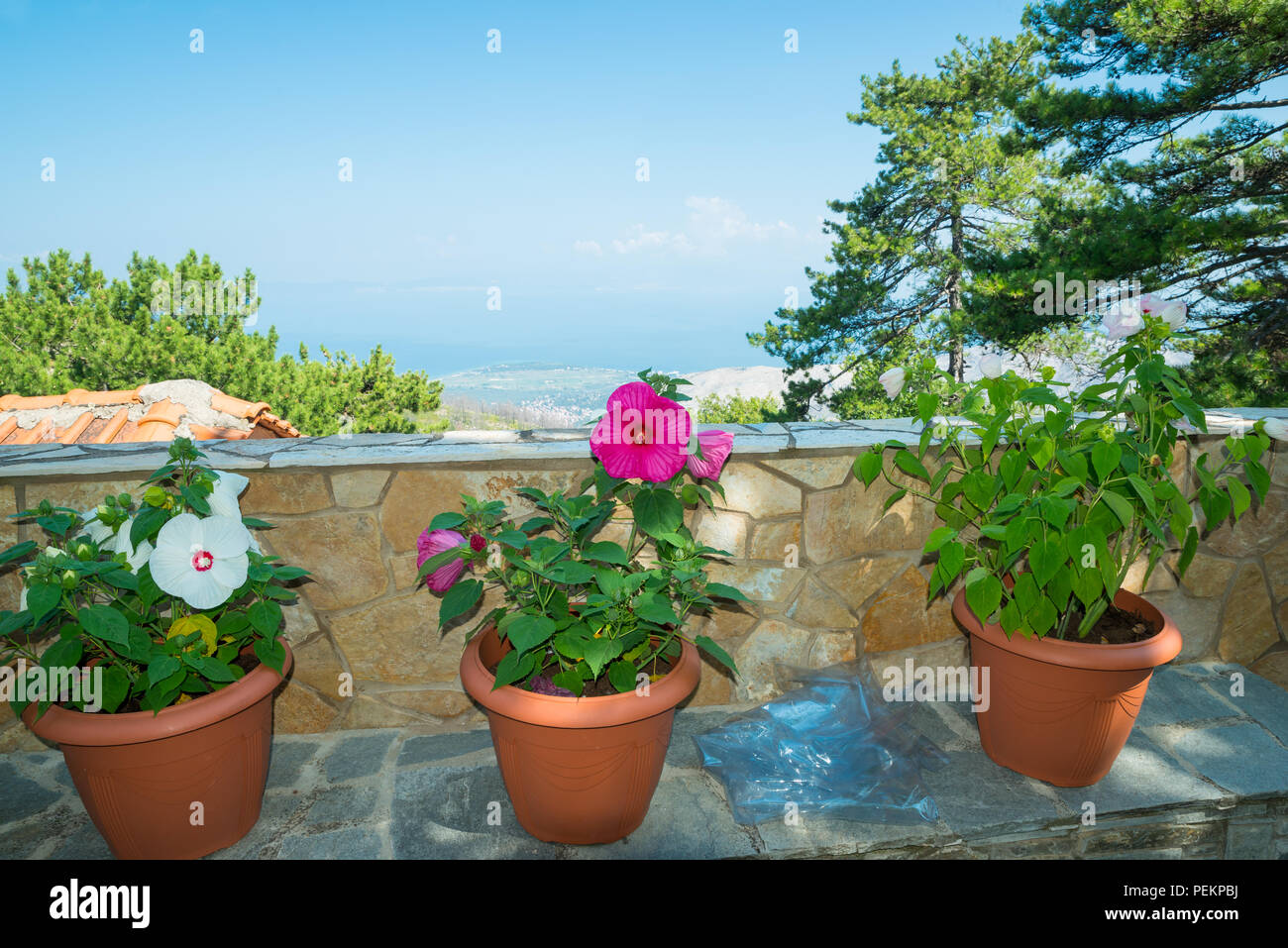 Aghios Panteleimonas monastero, Taso, Macedonia orientale e Tracia, Grecia, Europa Foto Stock