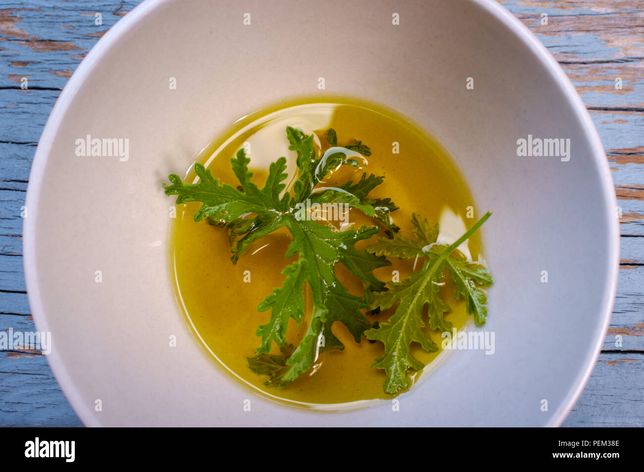 Un impianto di citronella foglia poggiante in olio per preparare in casa repellenti per zanzare Foto Stock