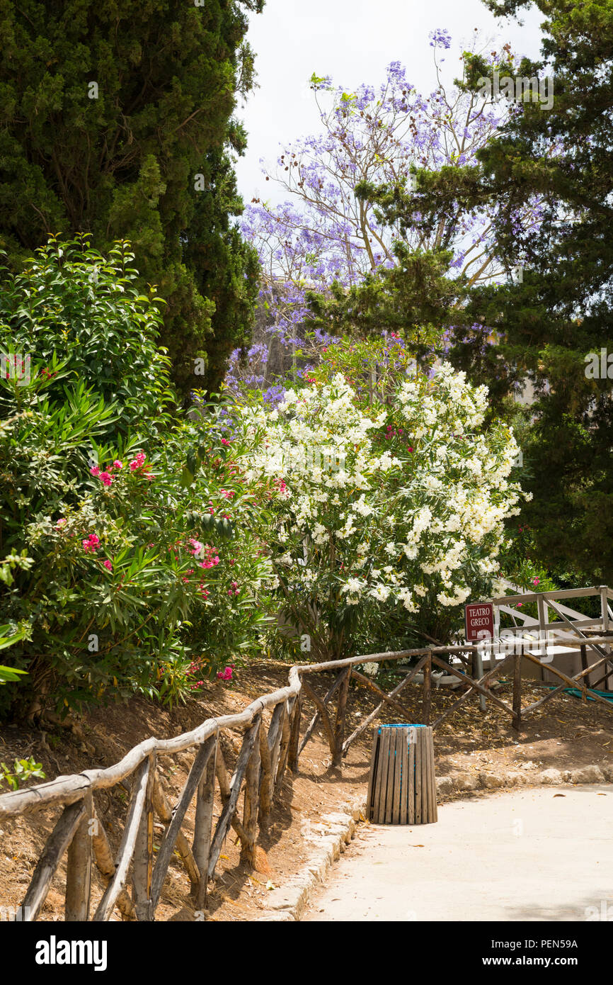 Italia Sicilia siracusa Siracusa Viale Paradiso Neapolis Parco Archeologico Parco Archeologico della Neapolis Anfiteatro greco fiori di ingresso Foto Stock