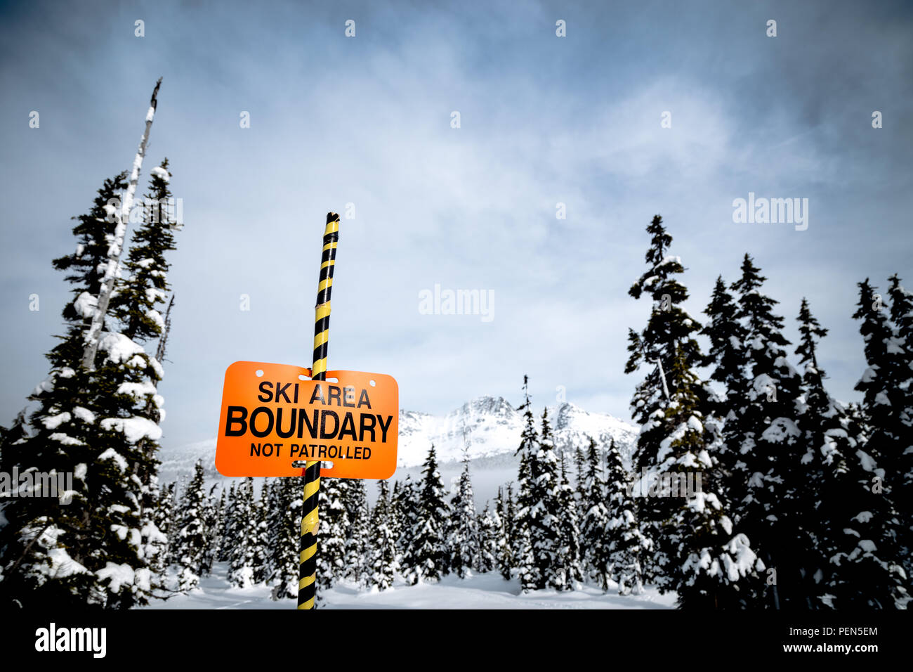 Whisky uccello Jack seduto sulla cima di uno sci in segno di confine con Blackcomb Mountain in background. Foto Stock