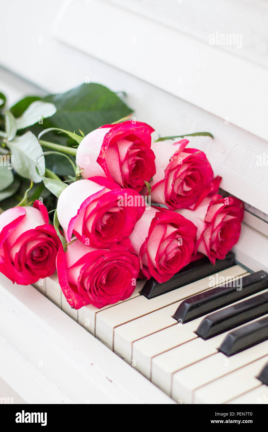 Luxury rose rosse su un pianoforte. Bouquet di rose rosse e tasti di  pianoforte Foto stock - Alamy