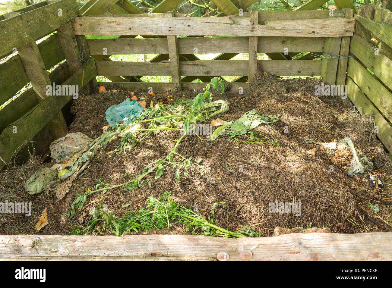 Marciume composto in un contenitore fatto di pallet in legno. Foto Stock