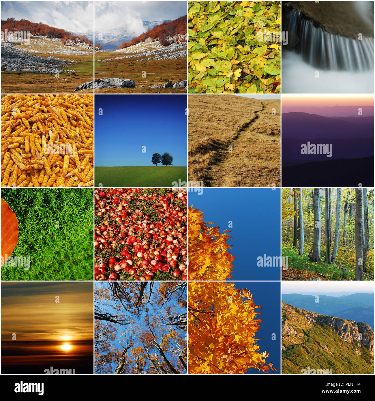 Natura e paesaggio immagini, square collage Foto Stock