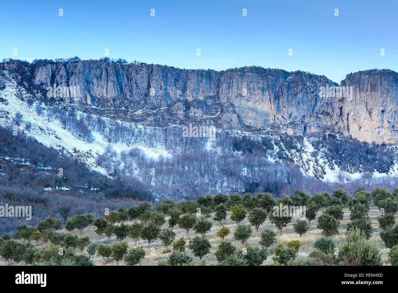 La gamma della montagna in inverno e olivi. Foto Stock