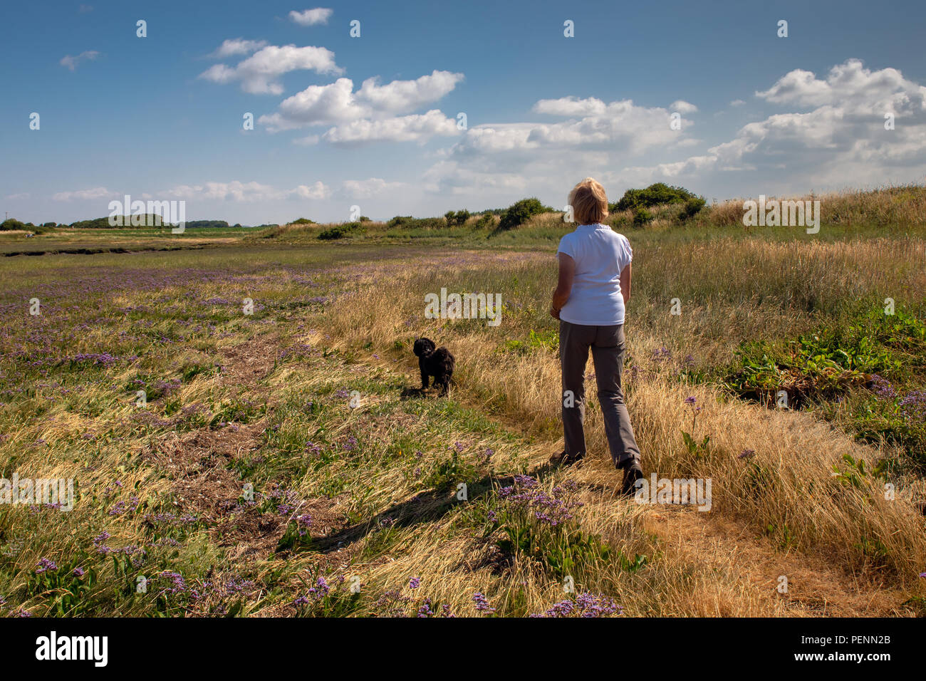 Passeggiate con il cane dal fiume Wyre in Lancashire Foto Stock