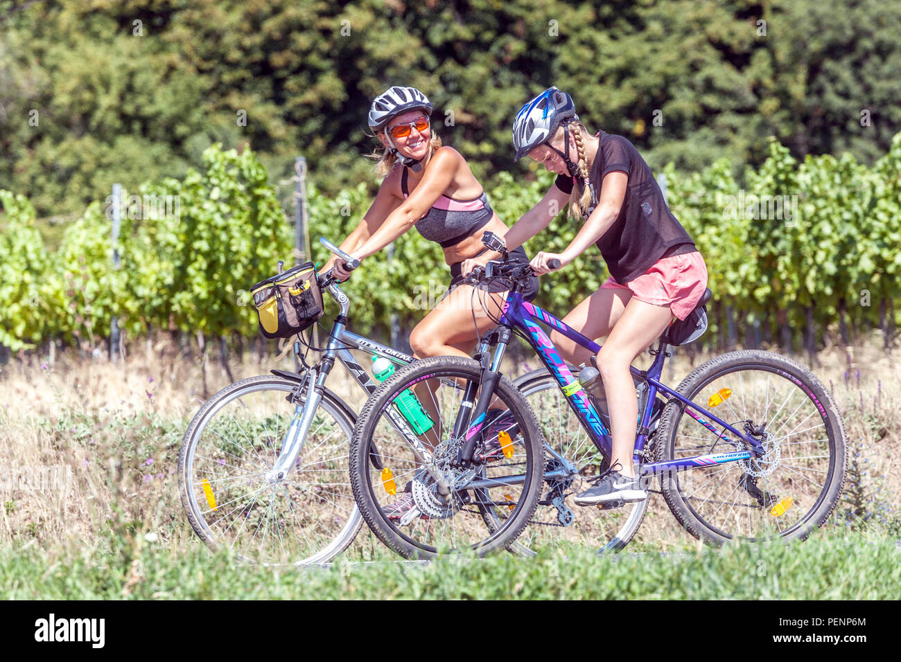 Due donne che vanno in bicicletta nella campagna dei vigneti, Moravia meridionale, Repubblica Ceca, donna che ride in bicicletta Foto Stock