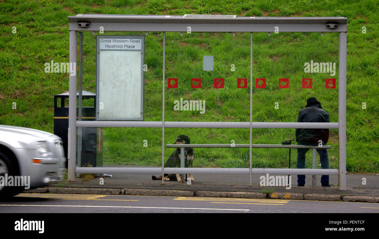 L uomo e il cane in attesa di un autobus in un bus shelter visto da dietro Foto Stock
