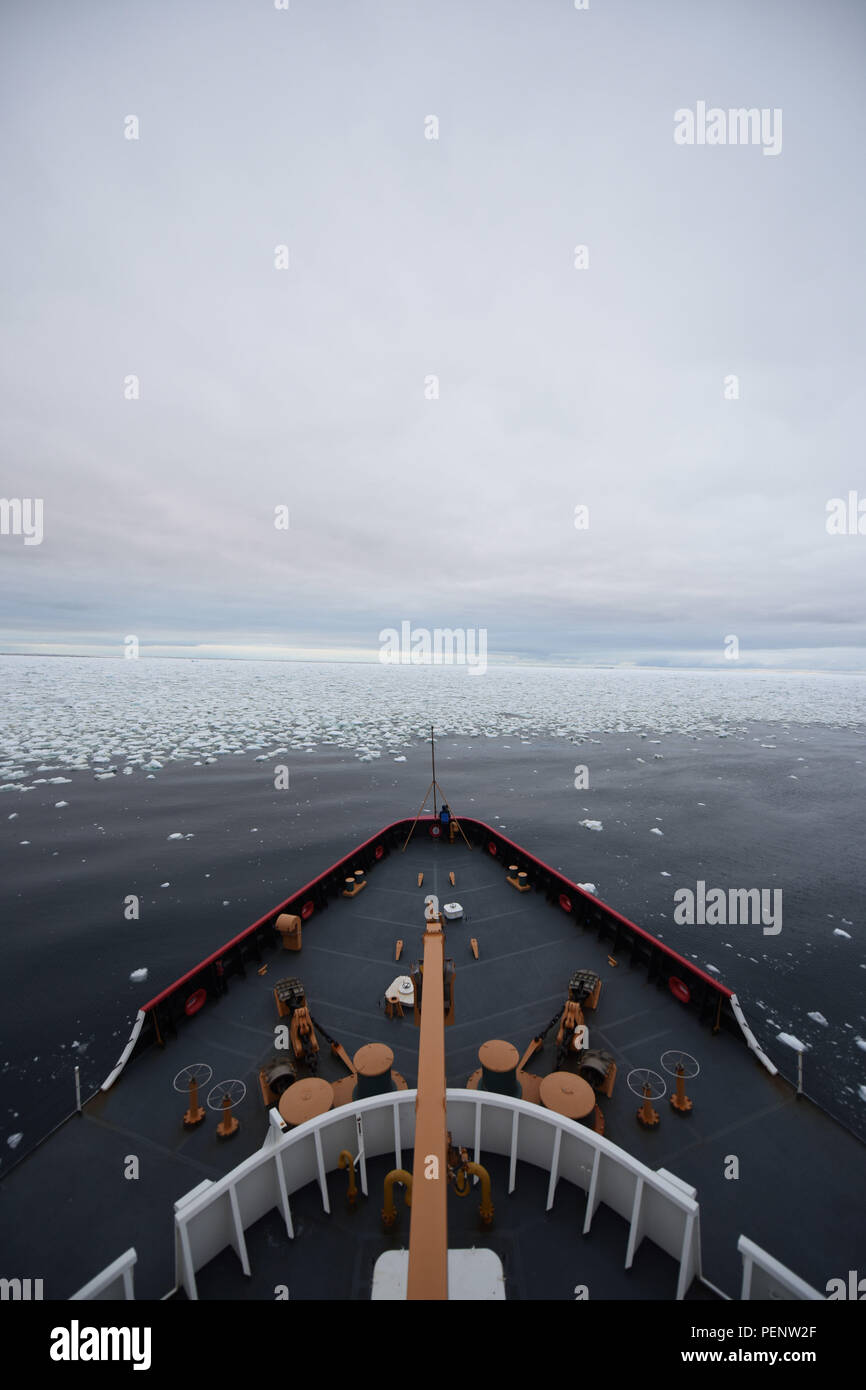 Il Guardacoste stella polare antartico approcci di mare di ghiaccio nell'Oceano del Sud gen. 4, 2016. Durante il funzionamento di Deep Freeze, 2016 La Stella Polare equipaggio potrà navigare attraverso il ghiaccio per il supporto di un rifornimento annuale della National Science Foundation di McMurdo Station in Antartide. (U.S. Coast Guard foto di Sottufficiali di 2a classe di concedere DeVuyst) Foto Stock