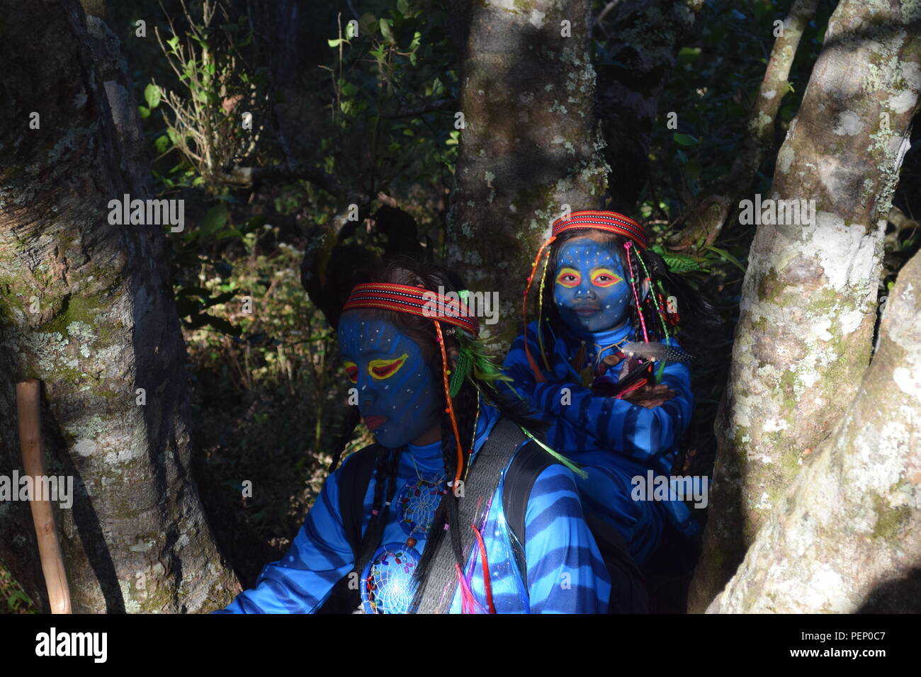 Due giovani ragazze avatar Keytiri e Feytiri arrivando a mt. Ulap e roaming in tutta la fitta foresta di pini al Ampucao Sta. Fe creste. Foto Stock