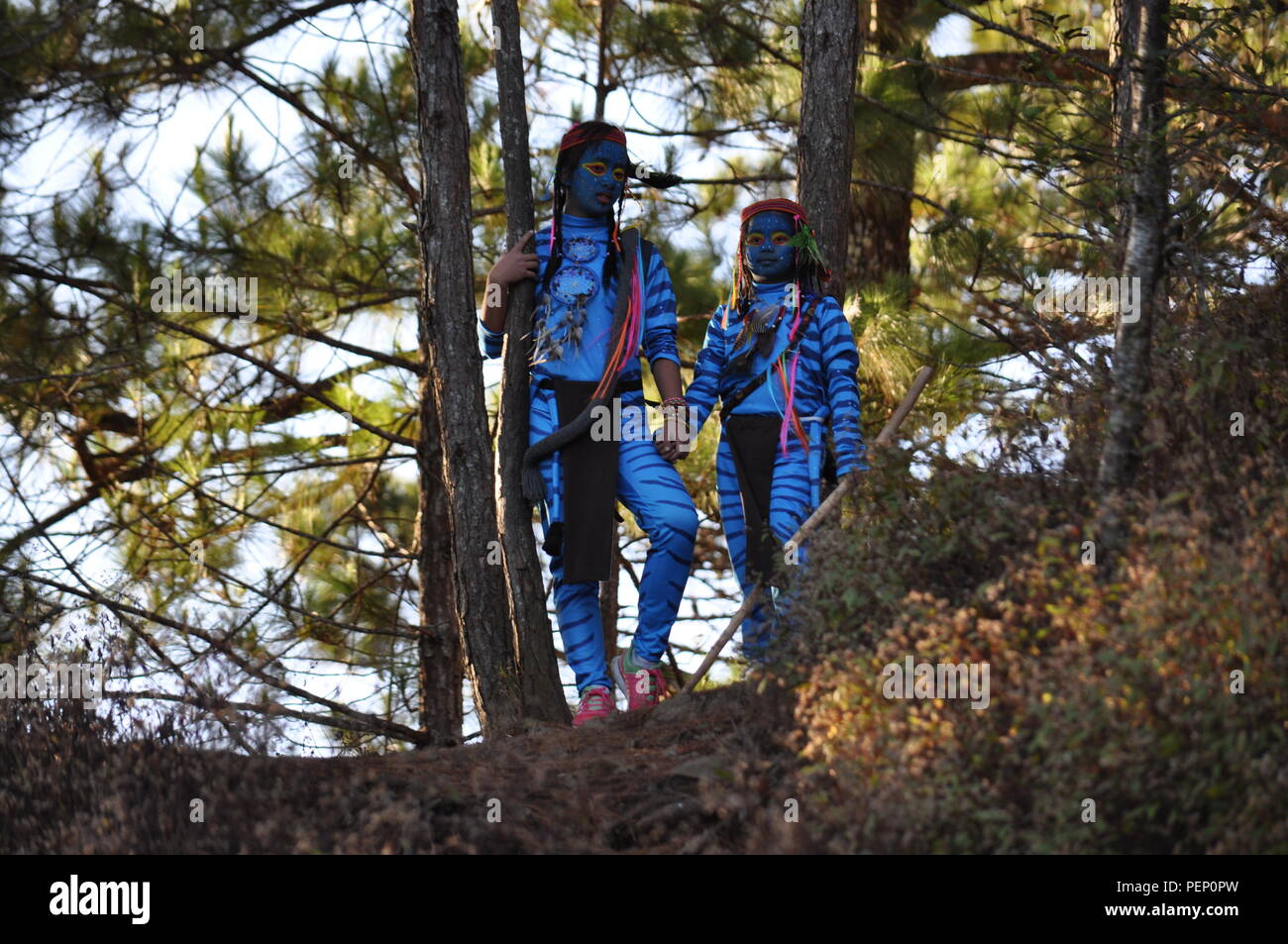 Due giovani ragazze avatar Keytiri e Feytiri arrivando a mt. Ulap e roaming in tutta la fitta foresta di pini al Ampucao Sta. Fe creste. Foto Stock