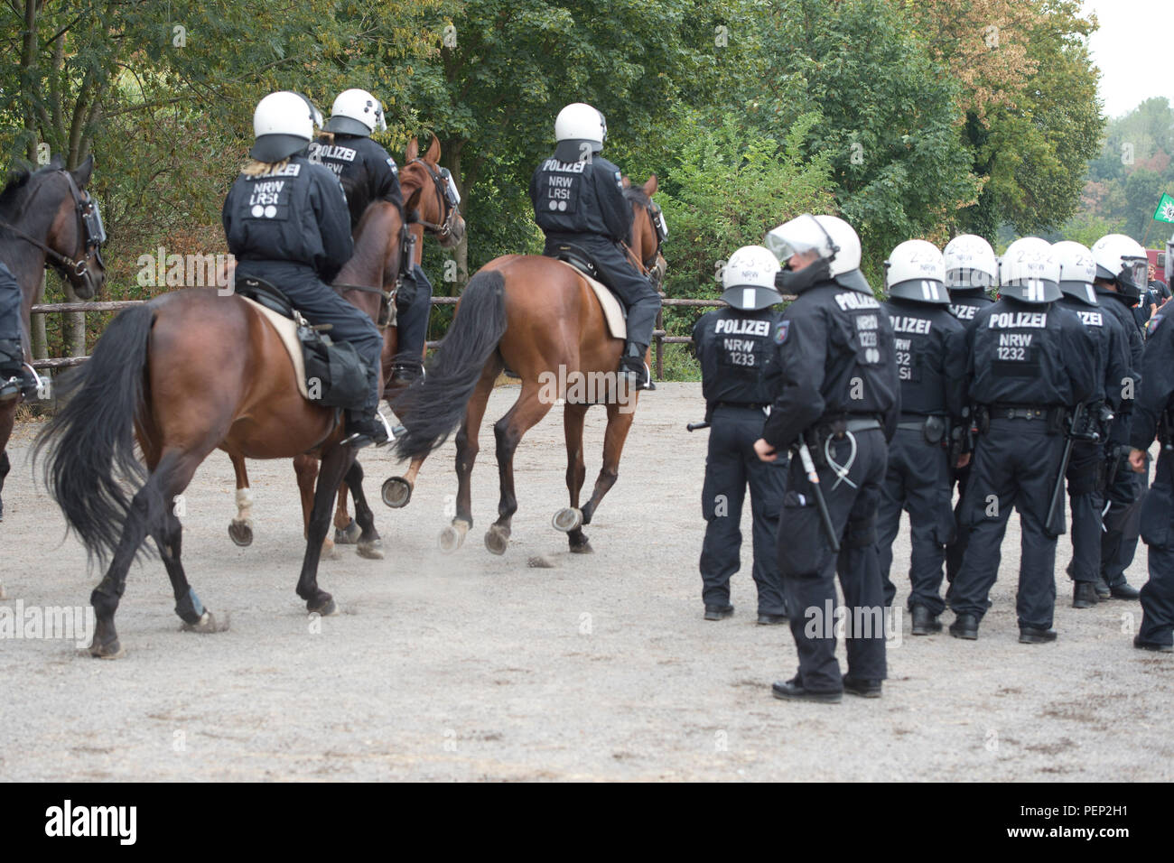 A cavallo dei poliziotti montati insieme con un Einsatz-Hundertschaft, NRW il Ministro degli Interni Herbert Reul visiti la Landesreiterstaffel della polizia NRW, 15.08.2018 in Willich. | Utilizzo di tutto il mondo Foto Stock
