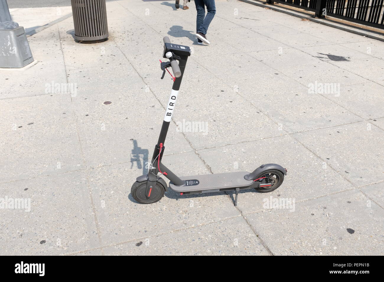 Società di uccelli scooter a Connecticut Ave e Q Street NW. Affittabile Dockless scooter elettrici sono una visione comune in Washington, DC. Foto Stock