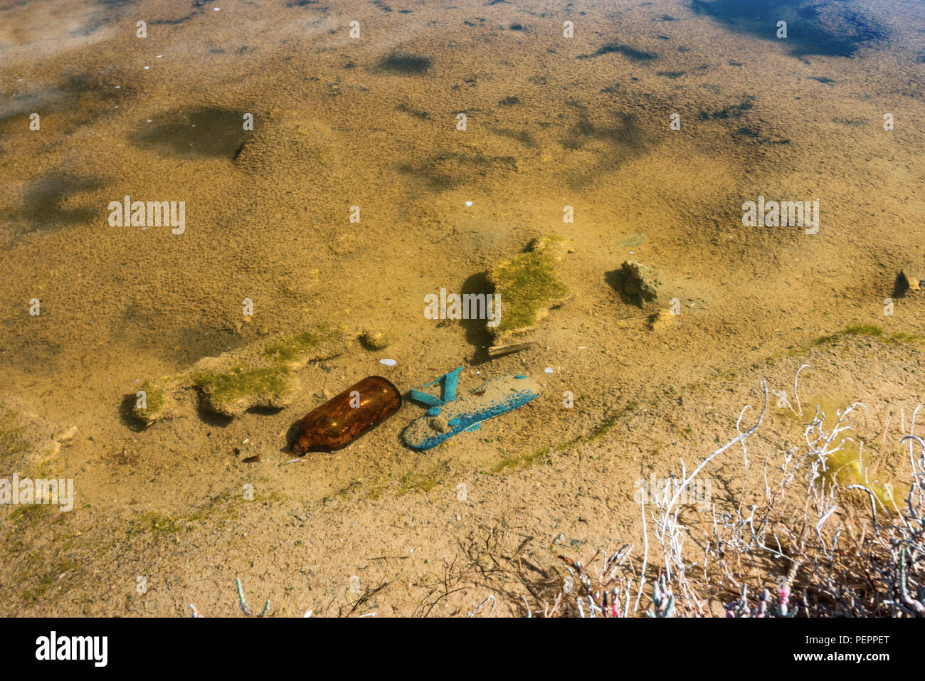 Vecchie bottiglie di vetro e un sandale sprecato in un clear lake nel bus. Australia occidentale Foto Stock