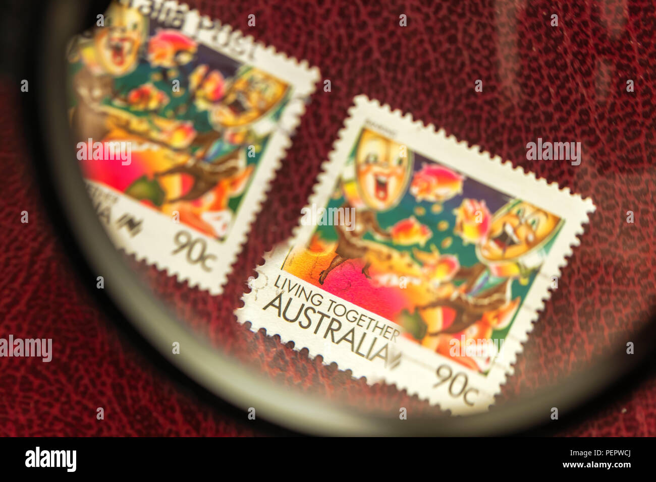 Australian francobolli sotto la lente di ingrandimento, con la texture di sfondo di borgogna. Foto Stock