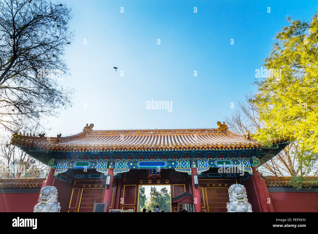 Ingresso ovest di Red Gate leoni di pietra dal Parco Jingshan Beijing in Cina. Una parte della Città Proibita, più tardi un parco separato, costruito nel 1179. Foto Stock Ingresso ovest di Red Gate leoni di pietra dal Parco Jingshan Beijing in Cina. Una parte della Città Proibita, più tardi un parco separato, costruito nel 1179. Foto Stock