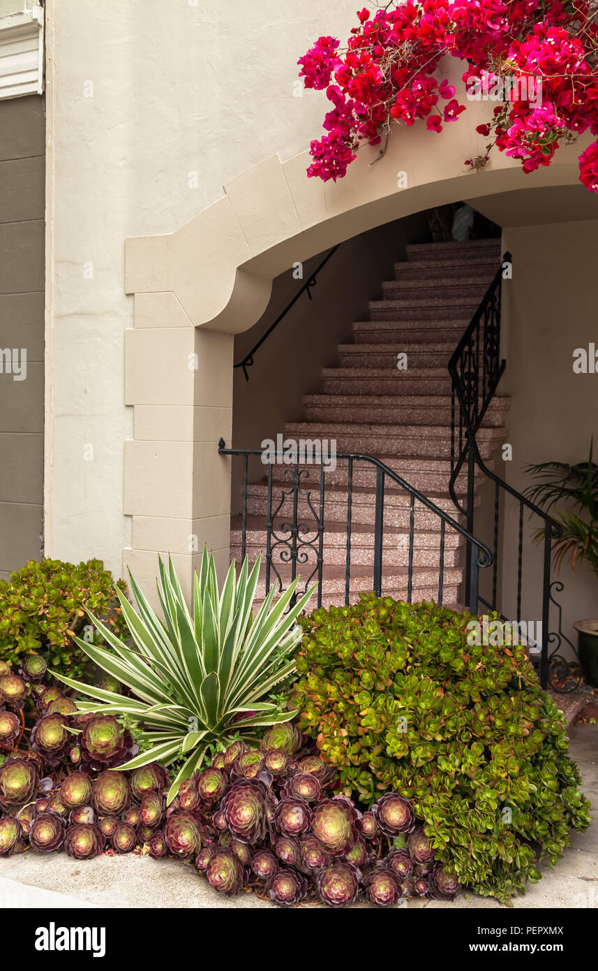 Aspetto esterno con giardino di piante succulente e mattoni rossi scala portano a casa una entrata, San Francisco, California Foto Stock