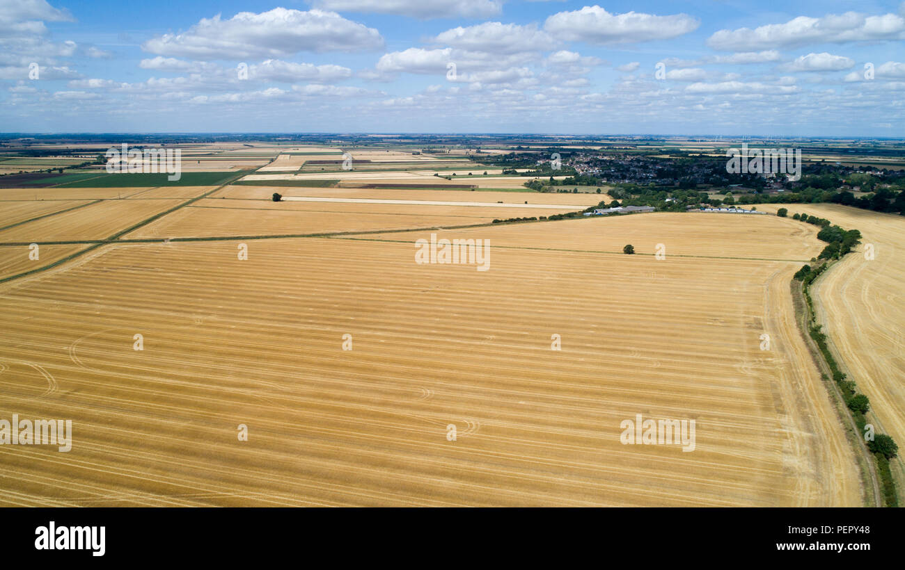 Le riarse campi nei pressi,Ely Cambs,Mercoledì 1 Agosto 2108 dopo l'ondata di caldo di quest'estate.Oggi gli agricoltori sono in possesso di un vertice della siccità con il governo. Il sindacato nazionale degli agricoltori (NFU) incontrerà funzionari a Londra oggi (MER) per discutere "polveriera" le condizioni che hanno ridotto la crescita di erba e di "uranio' alcuni rese. NFU presidente Minette pastelle detto lei proverà ad impressionare su ambiente segretario Michael Gove presso la "estremamente importante" colloqui sfide che gli agricoltori si trovano di fronte a seguito della grave mancanza di pioggia. Foto Stock