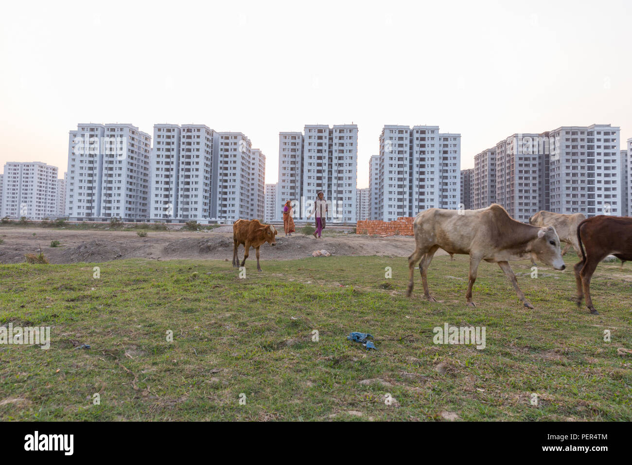 Desparate Urbanigation, Dacca in Bangladesh Foto Stock