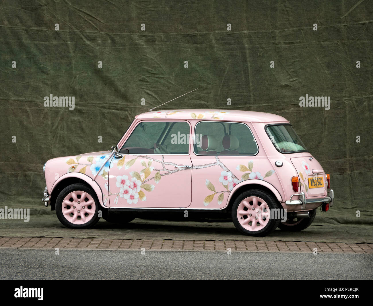2000 Rover Mini flower verniciato. Foto Stock