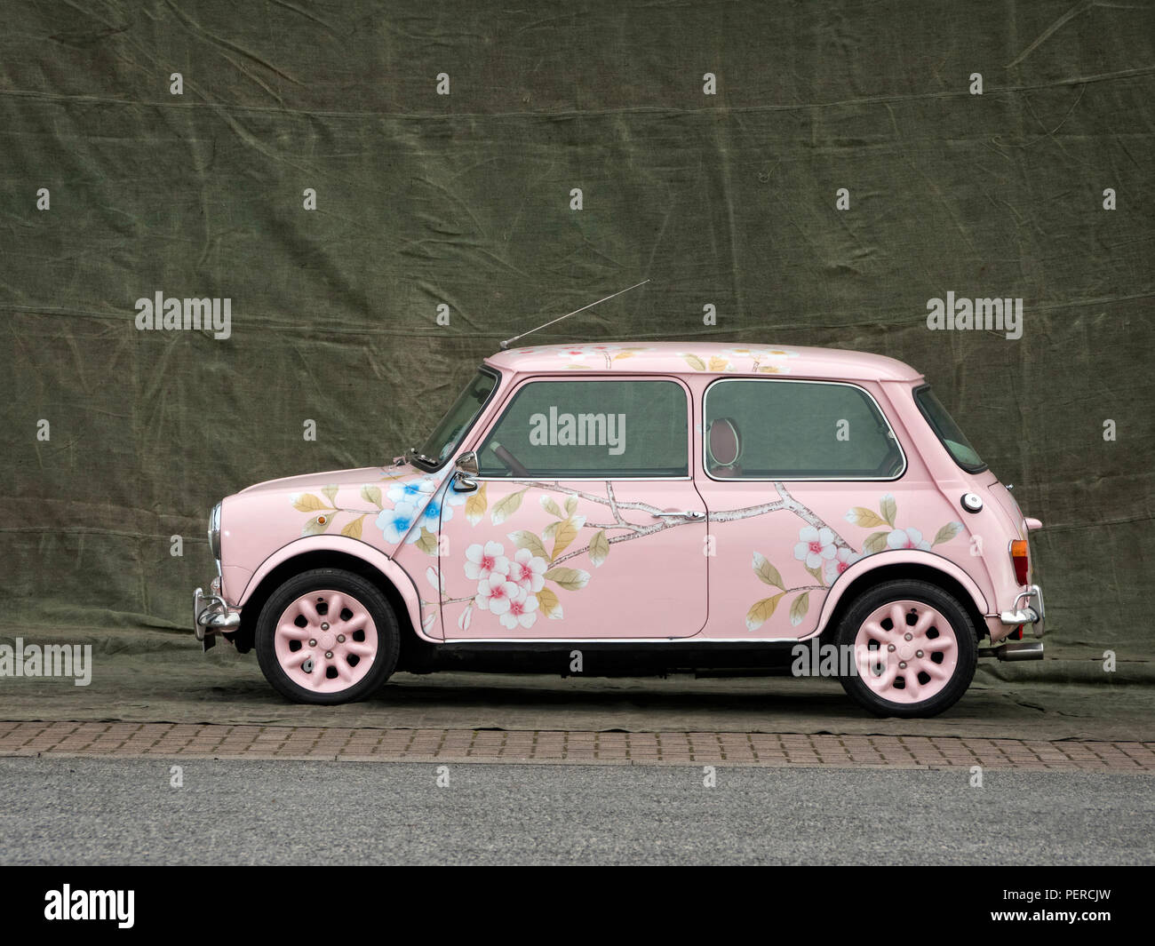 2000 Rover Mini flower verniciato. Foto Stock