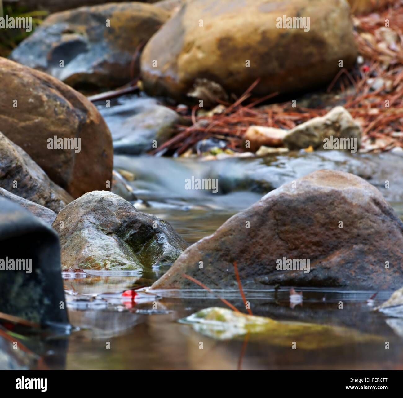 Il rotolamento Creek Bed Foto Stock