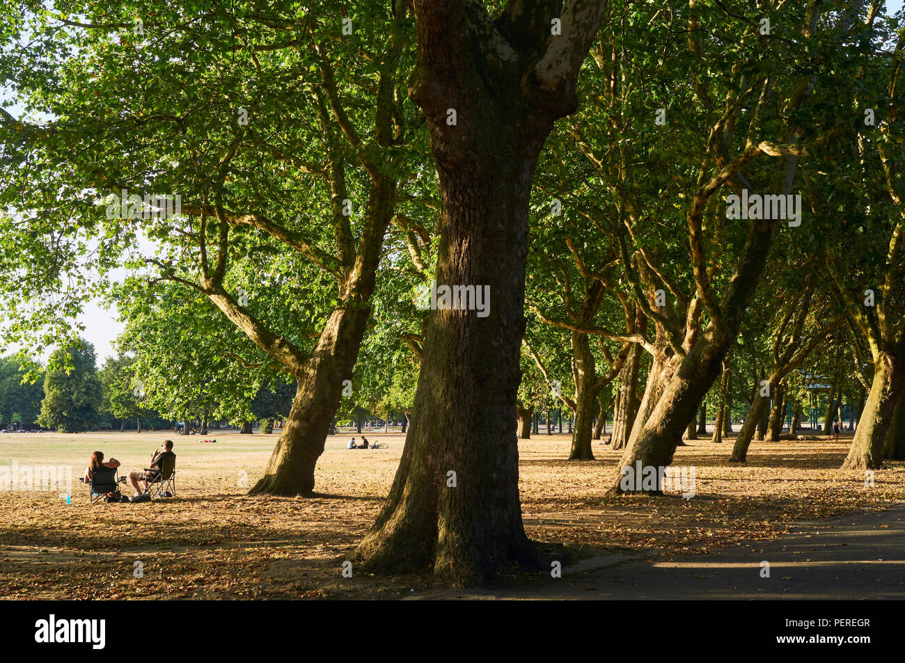 La gente seduta sotto il sole tra gli alberi in Victoria Park, East London, Regno Unito Foto Stock