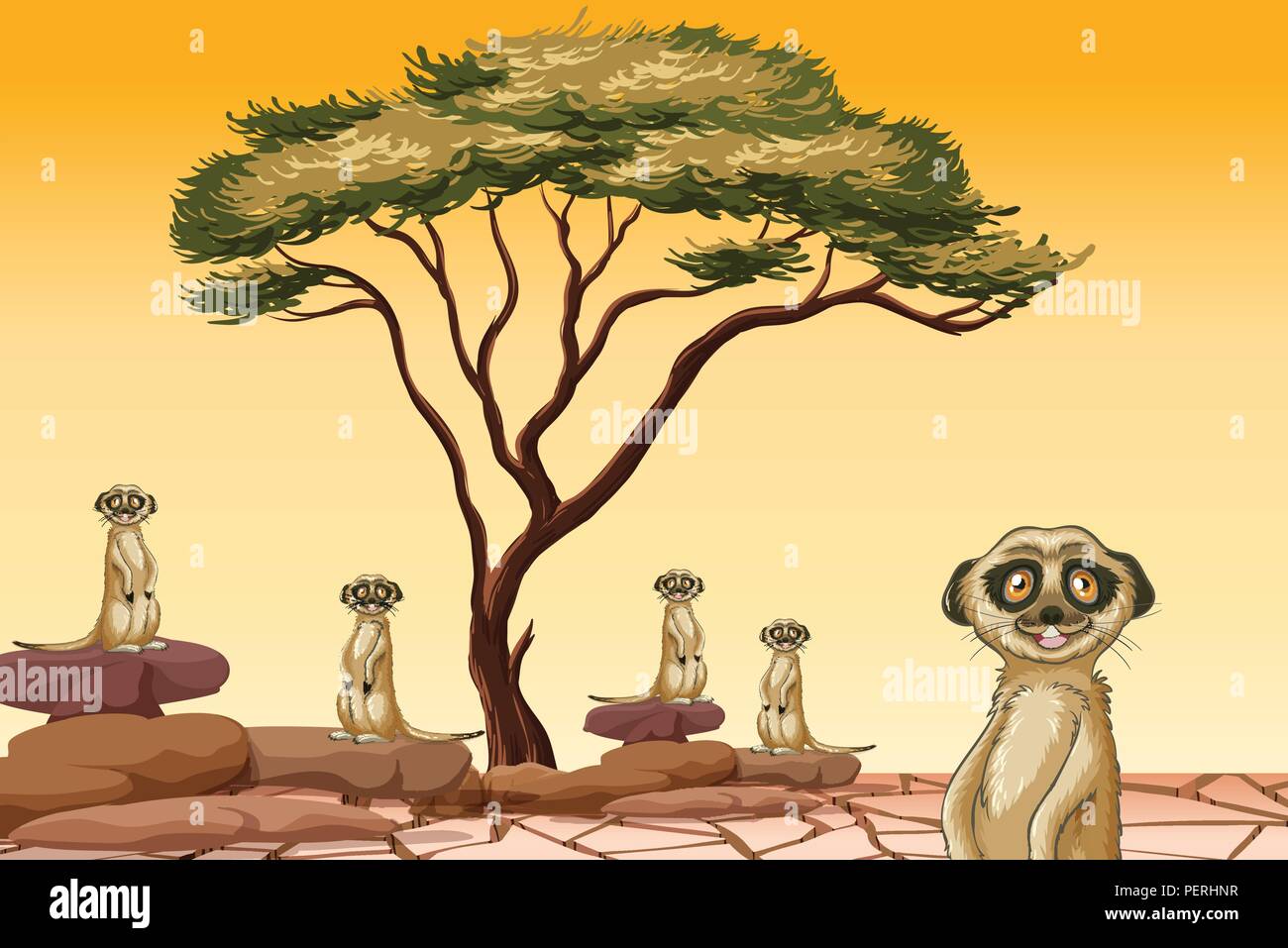 Meerkat che vivono in terra asciutta illustrazione Illustrazione Vettoriale