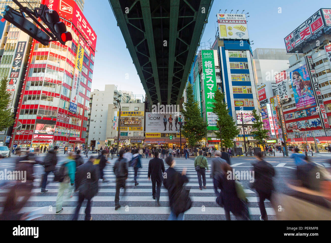 Giappone, Tokyo, insegne al neon la copertura di edifici nel consumer electronics quartiere di Akihabara Foto Stock