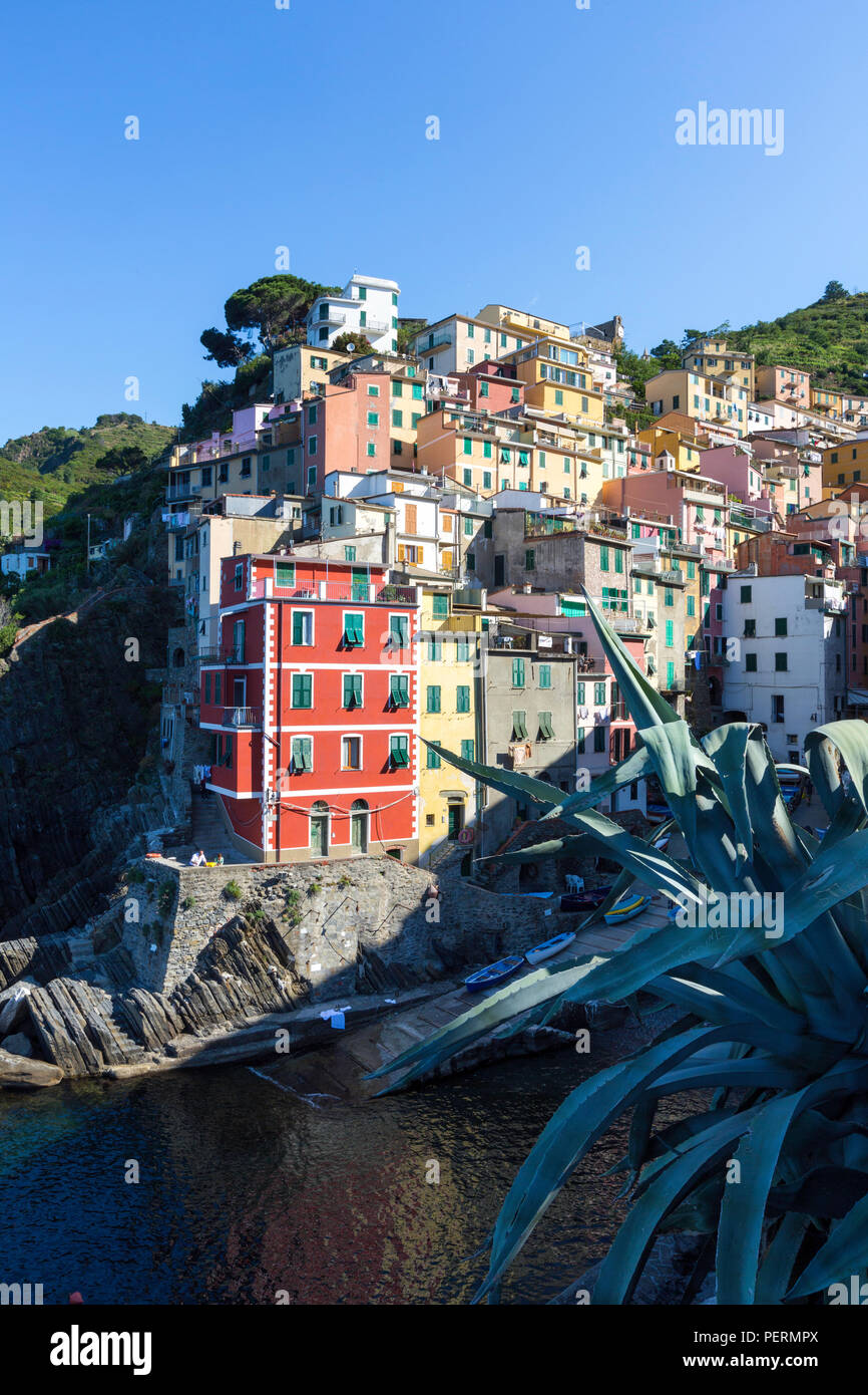 Clifftop borgo di Riomaggiore, Cinque Terre, Sito Patrimonio Mondiale dell'UNESCO, Liguria, Italia, Europa Foto Stock